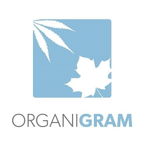 אורגניגרם – Organigram
