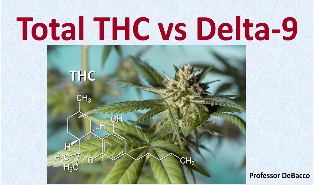סה"כ THC מול THC דלתא 9, מה ההבדל