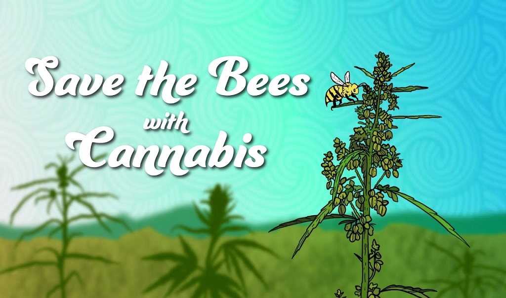 האם קנאביס יכול להציל את אוכלוסיית הדבורים בעולם?